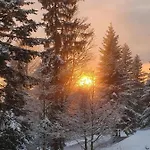 Anita Rogla Prázdninový dům Zreče