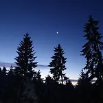 Anita Rogla Prázdninový dům