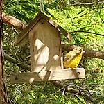 Prázdninový dům Anita Rogla *