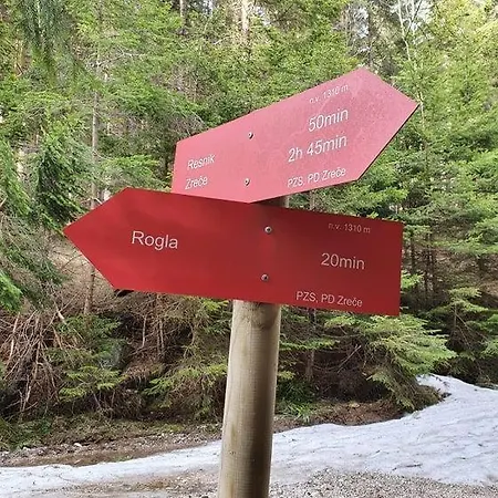 Anita Rogla Зрече