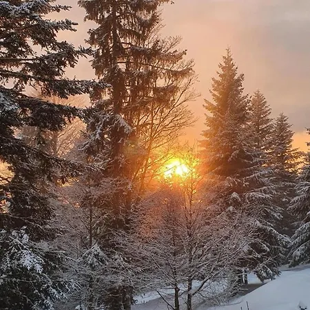Anita Rogla Tatil Evi Zreče