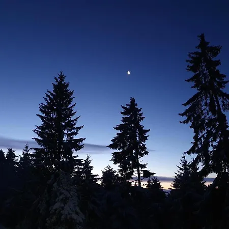 Anita Rogla Tatil Evi