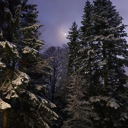 Tatil Evi Anita Rogla *