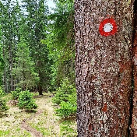 Tatil Evi Anita Rogla *