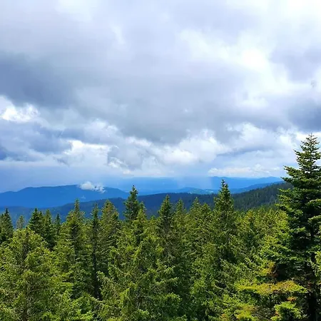 Tatil Evi Anita Rogla