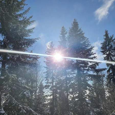 Tatil Evi Anita Rogla Zreče