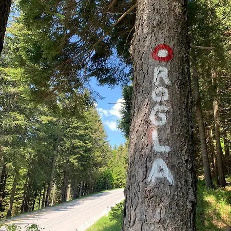 Anita Rogla Tatil Evi Zreče