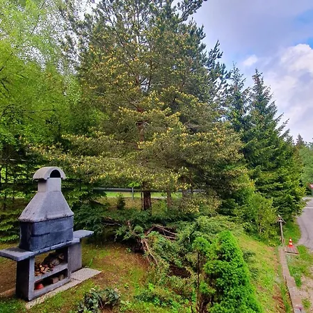 Anita Rogla * Зрече