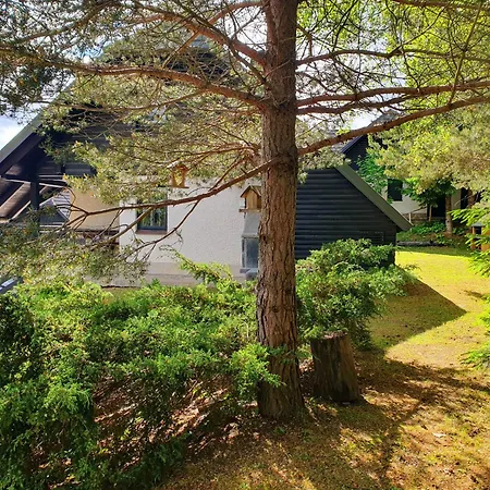 Anita Rogla * Zreče