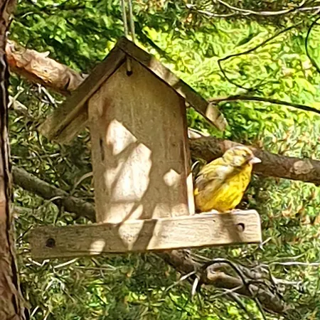 Дом отдыха Anita Rogla *