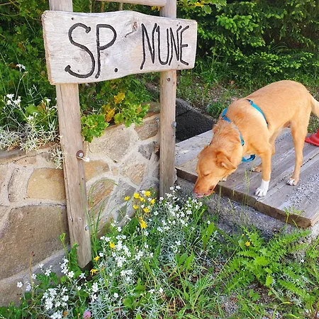 Tatil Evi Anita Rogla Zreče
