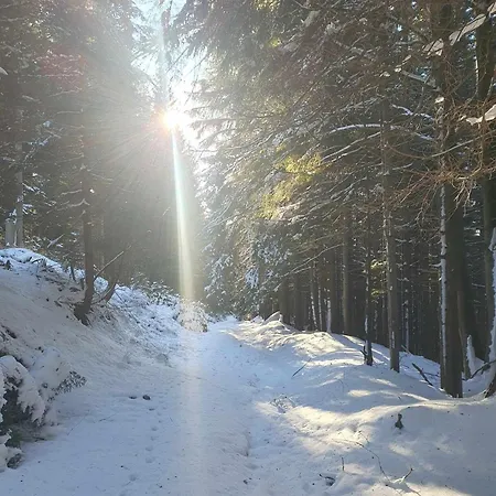 Tatil Evi Anita Rogla *