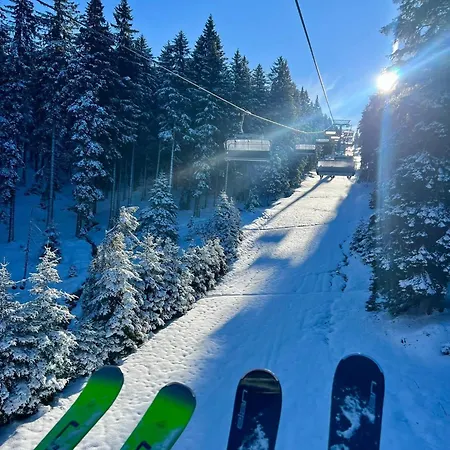 Tatil Evi Anita Rogla