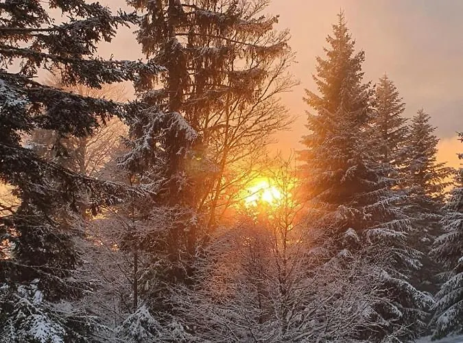 Anita Rogla Tatil Evi Zreče