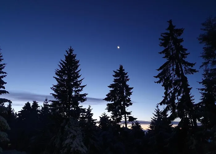 Anita Rogla Feriehus