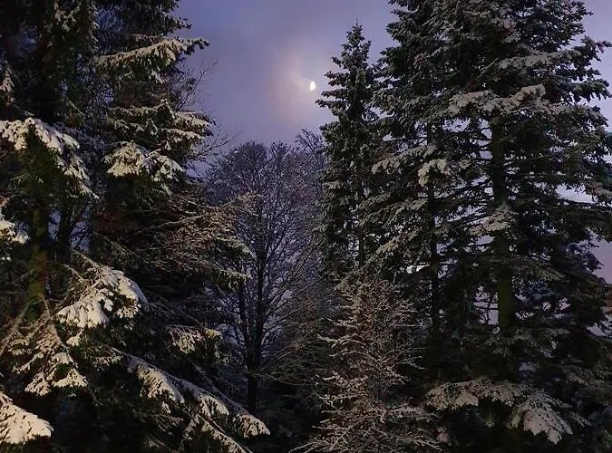 Tatil Evi Anita Rogla *