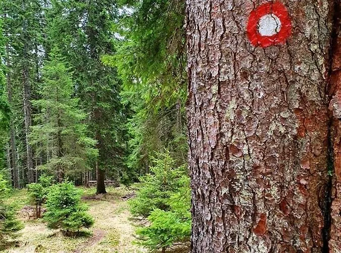 Feriehus Anita Rogla *