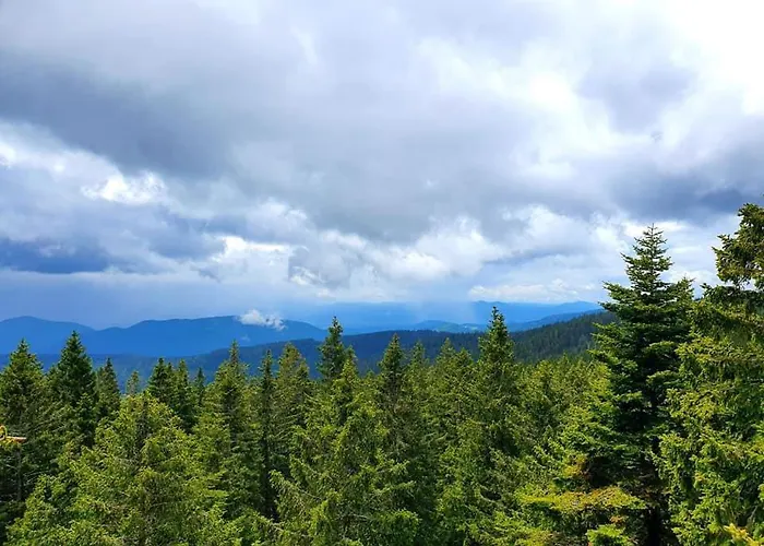 Feriehus Anita Rogla