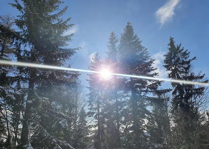 Vikendica Anita Rogla Zrece