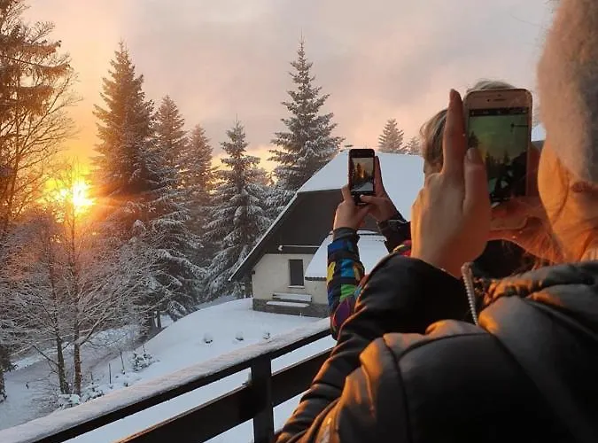 Anita Rogla Vikendica *