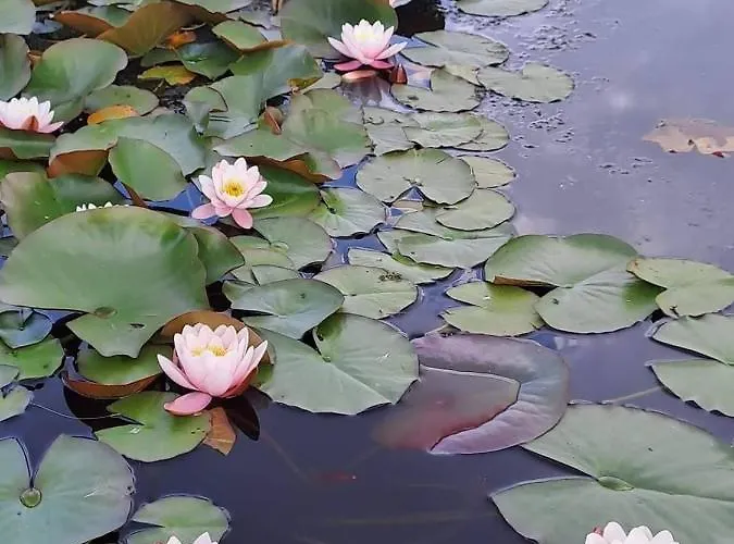 Feriehus Anita Rogla