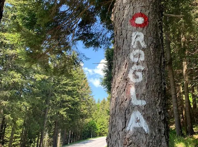 Anita Rogla Vikendica Zrece