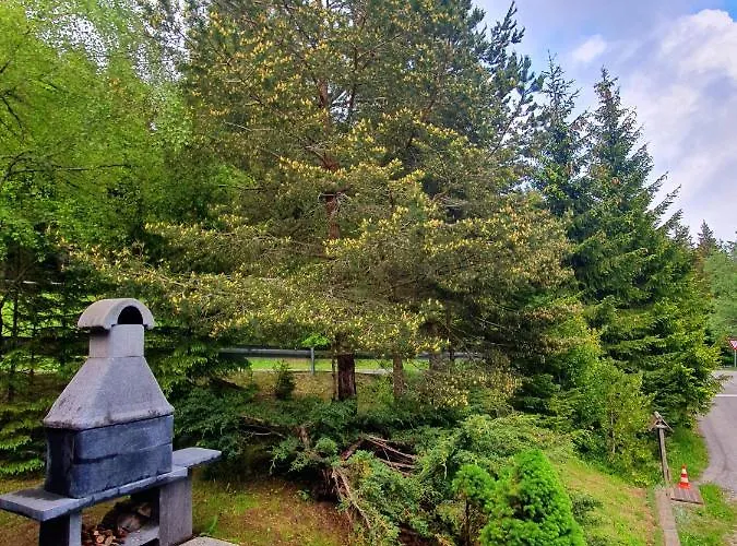 Anita Rogla * Zreče