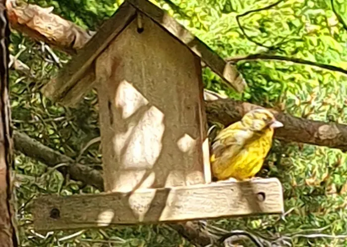 Feriehus Anita Rogla *