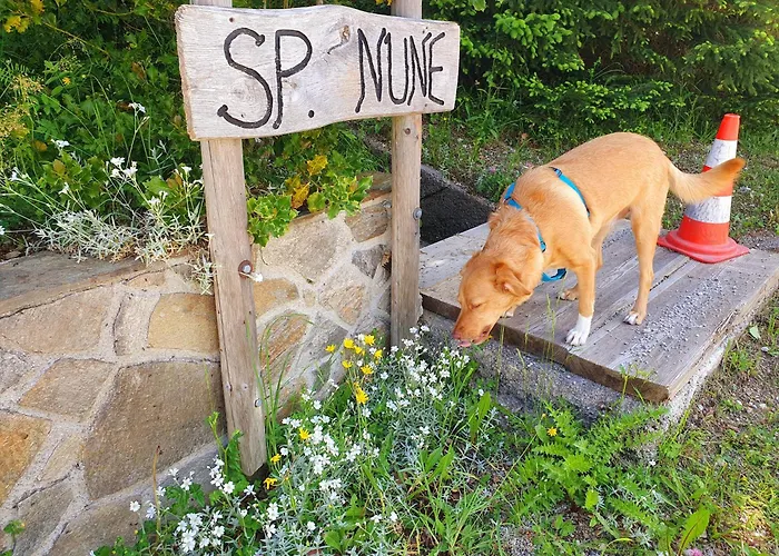Tatil Evi Anita Rogla Zreče