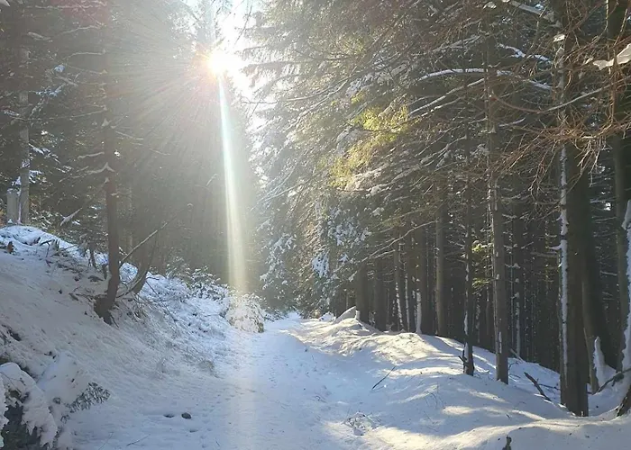 Tatil Evi Anita Rogla *